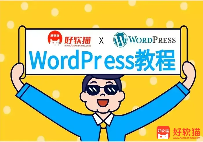 WordPress教程-QQ/微信防红遮罩源码-附使用教程-好软猫