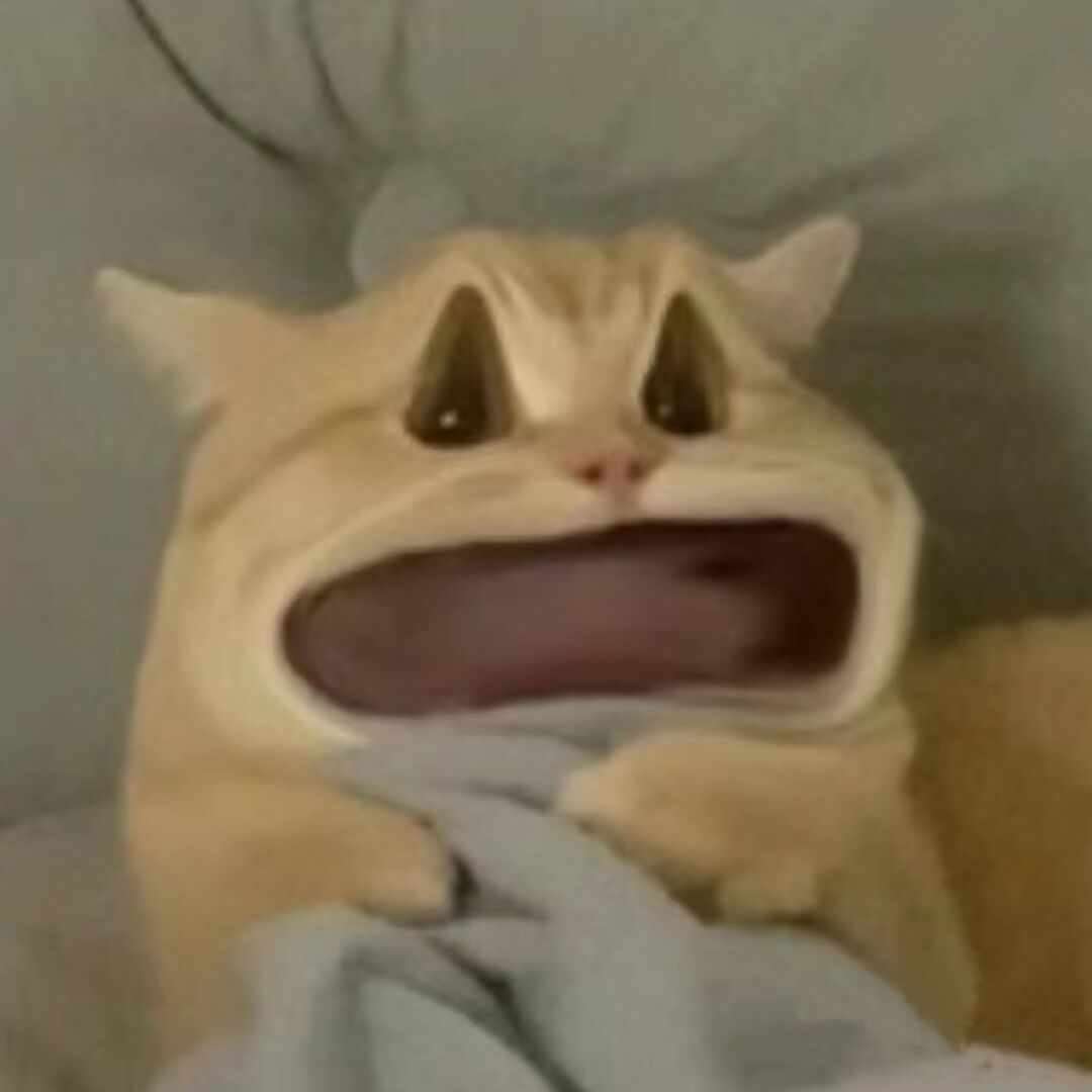 好软猫的头像-好软猫