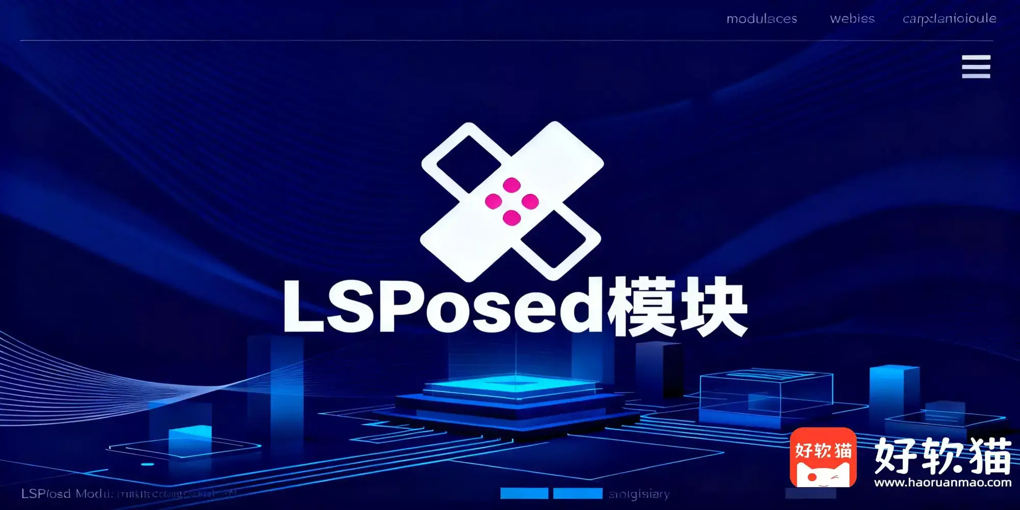 LSPosed 模块