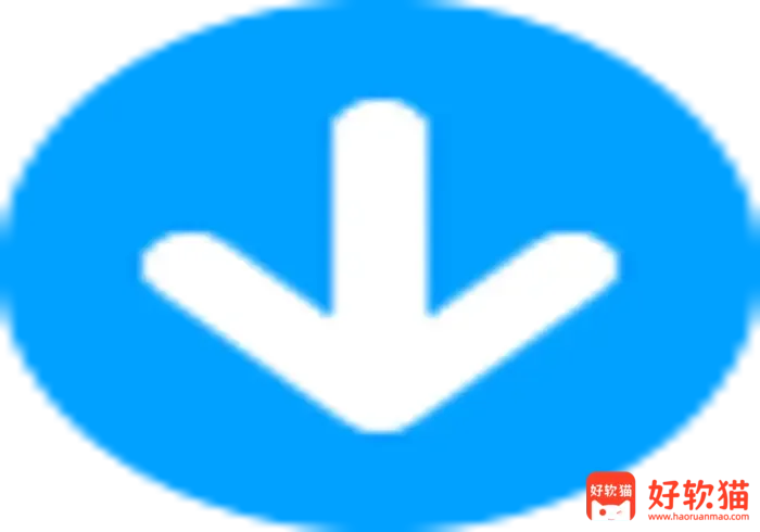 Any Video Downloader 视频下载工具Pro v10.4.30 便携版-好软猫